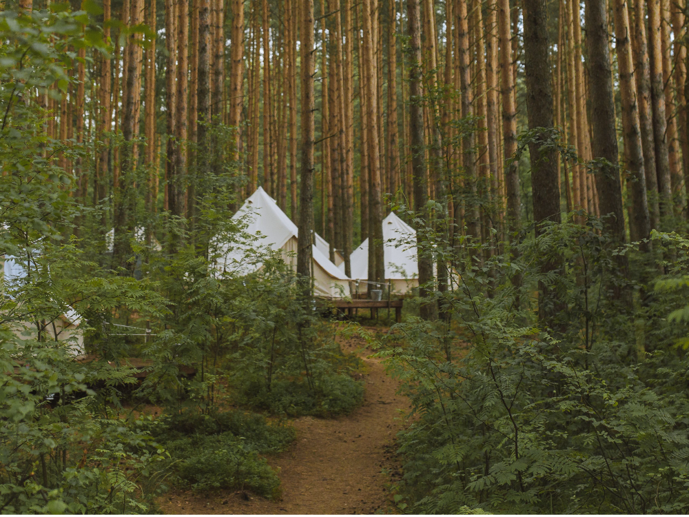Alpine Reserve premium tent